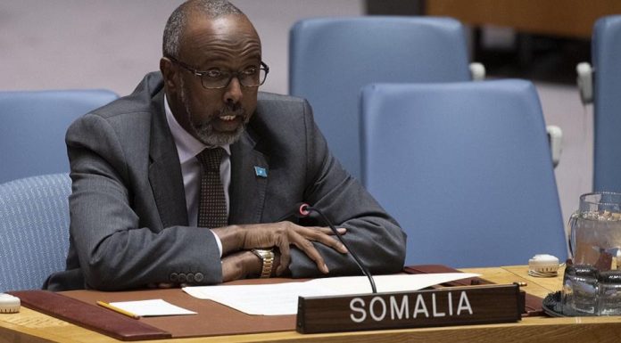 Dowladda somaliya2