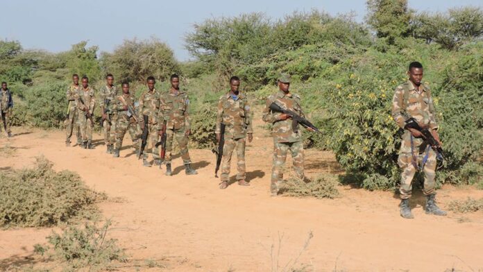 Ciidamada Koonfur galbeed1