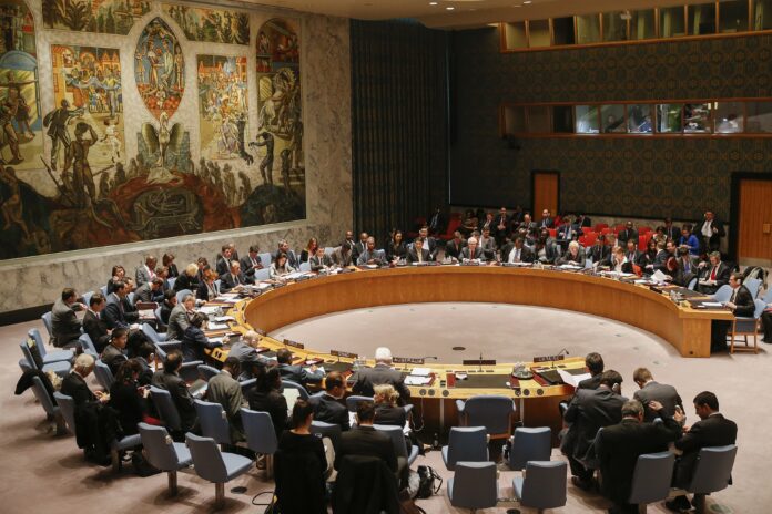 UN Security Council1