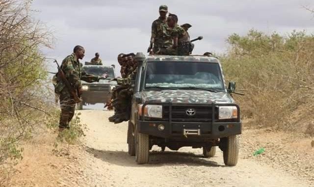 Ciidamada dowladda Somaliya12