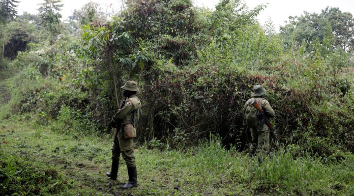 ciidamada dalka Congo