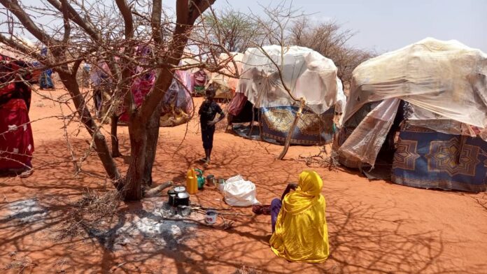 Abaaraha ka jira Soomaaliya_HalqaraNews