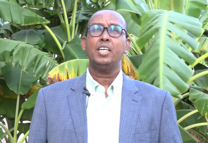 Xildhibaan Macallimu